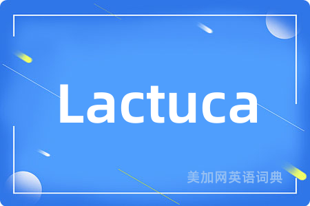 Lactuca