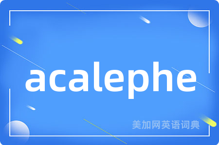 acalephe