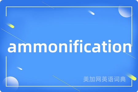 ammonification