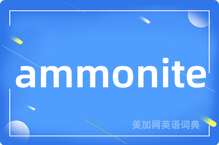 ammonite