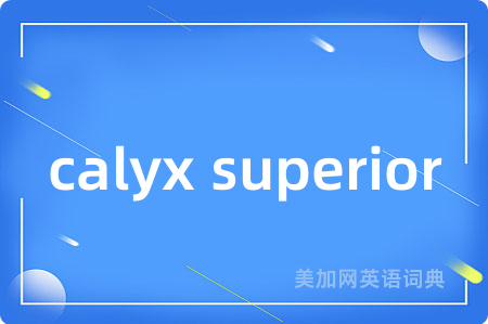 calyx superior
