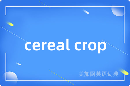 cereal crop