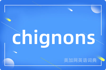 chignons
