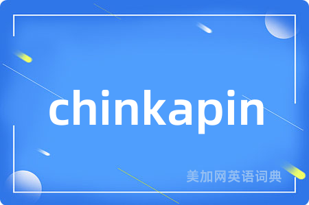 chinkapin