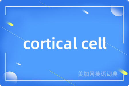 cortical cell