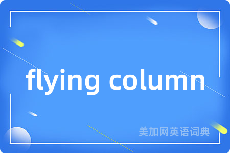 flying column