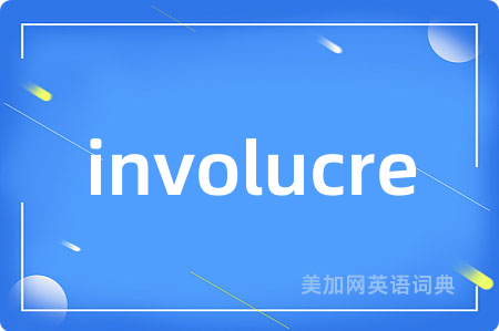 involucre