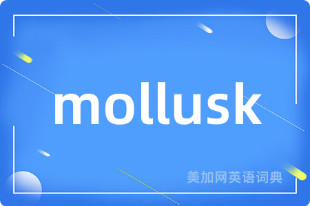 mollusk
