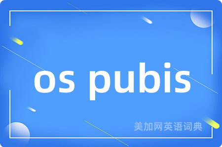 os pubis