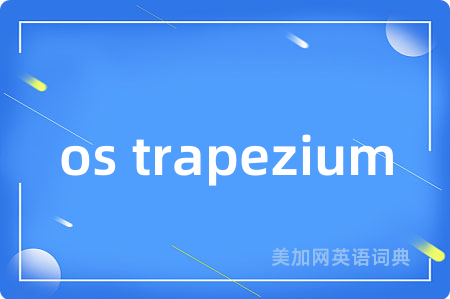 os trapezium