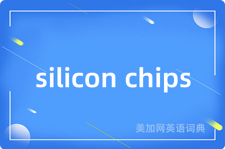 silicon chips