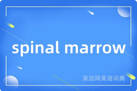spinal marrow