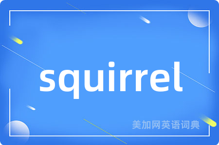 squirrel