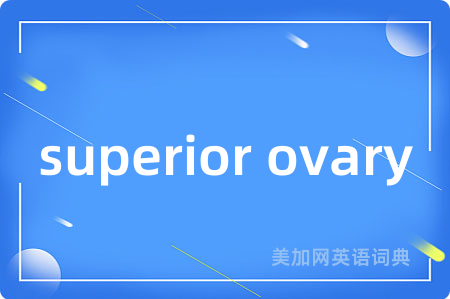 superior ovary