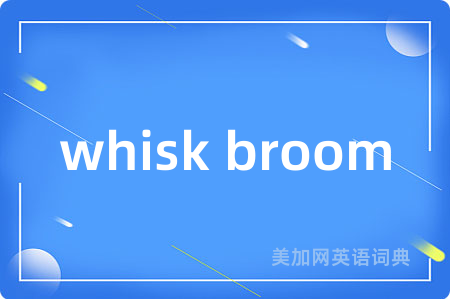 whisk broom