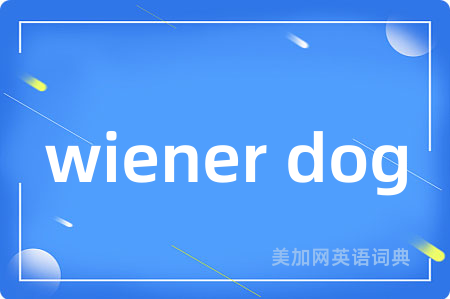 wiener dog
